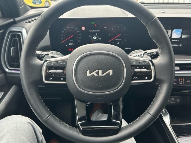 KIA Sorento 2.2 CRDi Platinum ACC LED Navi SHZ 360 - Image 7